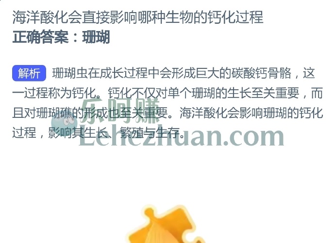 海洋酸化会直接影响哪种生物的钙化过程?