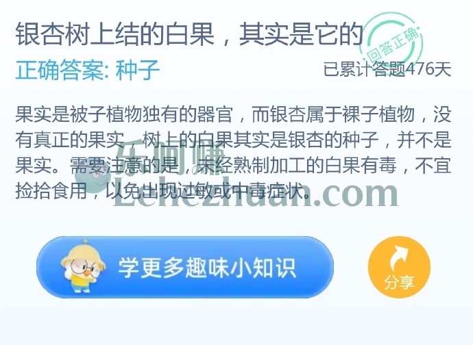 银杏树上结的白果其实是它的?