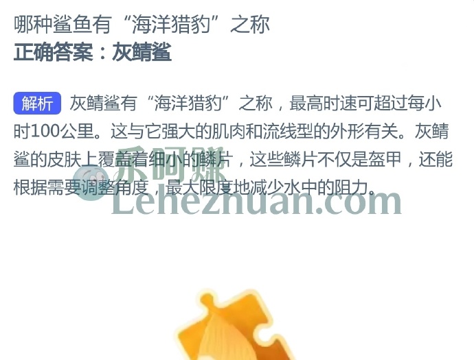 哪种鲨鱼有“海洋猎豹”之称?