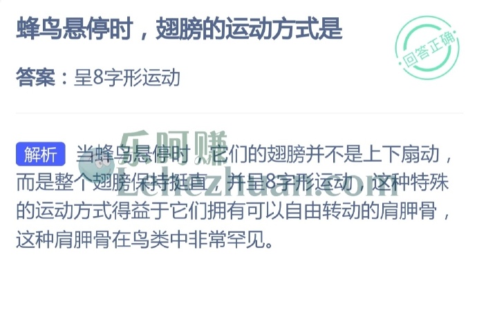 蜂鸟悬停时,翅膀的运动方式是?