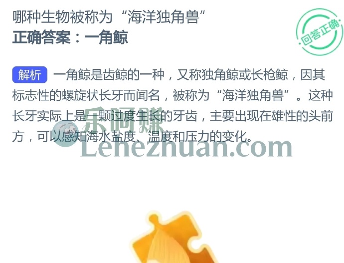 哪种生物被称为“海洋独角兽”?