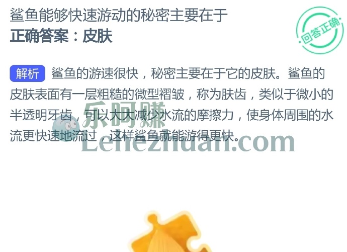 鲨鱼能够快速游动的秘密主要在于?