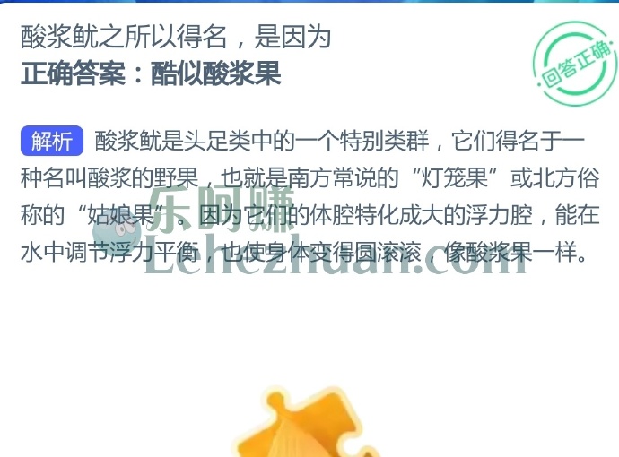 酸浆鱿之所以得名,是因为?