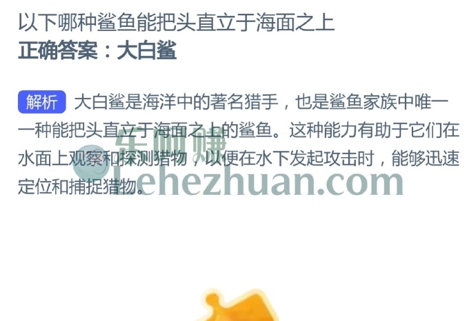 以下哪种鲨鱼能把头直立于海面之上?
