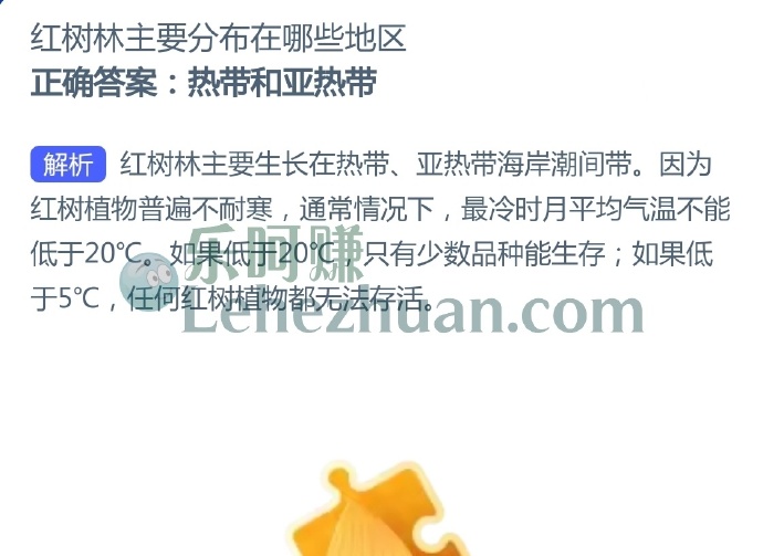 红树林主要分布在哪些地区?