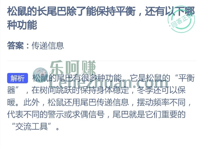 松鼠的长尾巴除了能保持平衡,还有以下哪种功能?