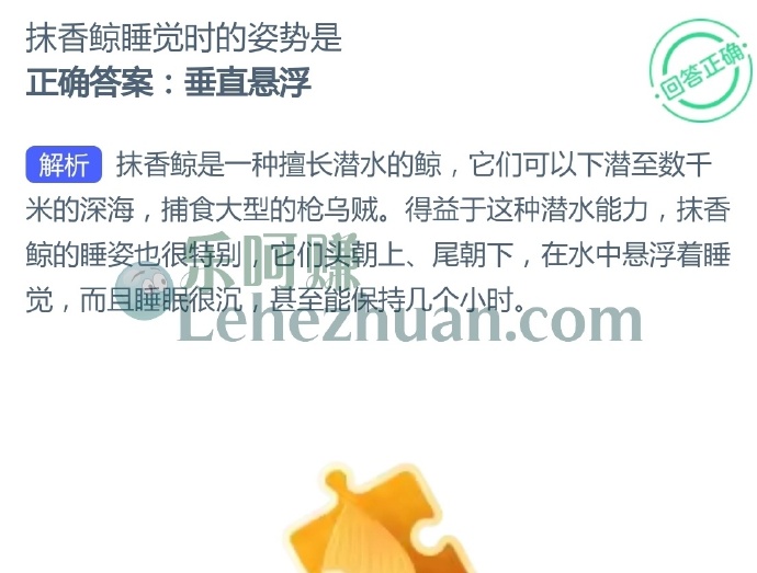 抹香鲸睡觉时的姿势是?