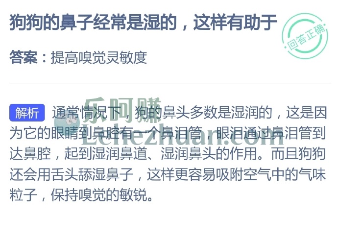 狗狗的鼻子经常是湿的,这样有助于?