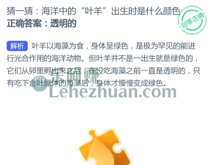 海洋中的“叶羊”出生时是什么颜色?