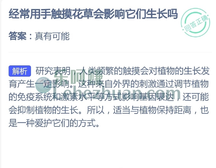 经常用手触摸花草会影响它们生长吗?