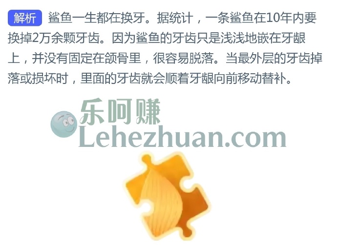 一条鲨鱼在10年内大约换掉多少颗牙齿?