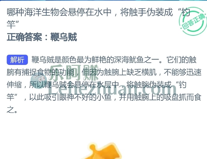 哪种海洋生物会悬停在水中,将触手伪装成“钓竿”?