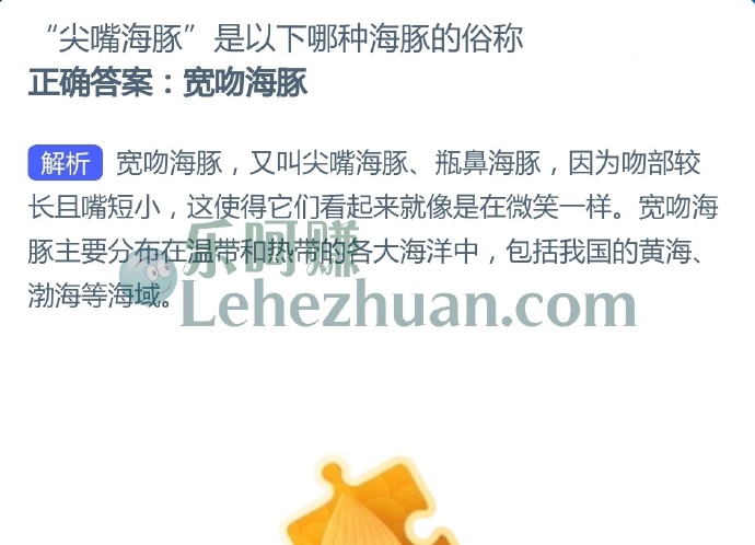 “尖嘴海豚”是以下哪种海豚的俗称?