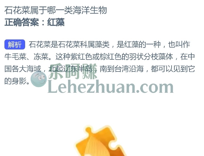 石花菜属于哪一类海洋生物?