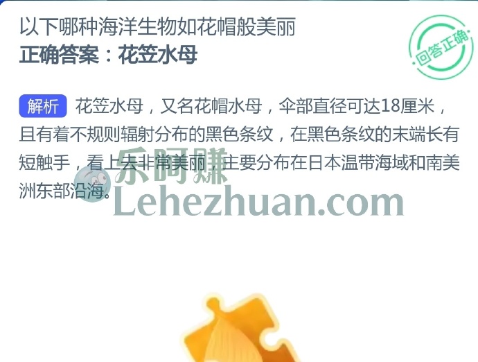 以下哪种海洋生物如花帽般美丽?