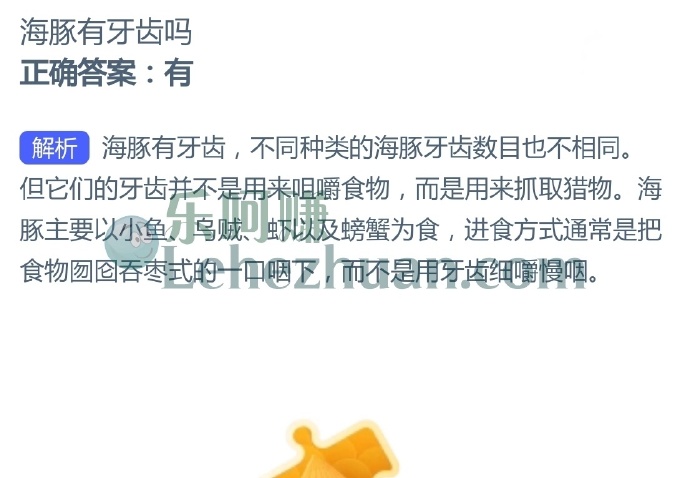 海豚有牙齿吗?