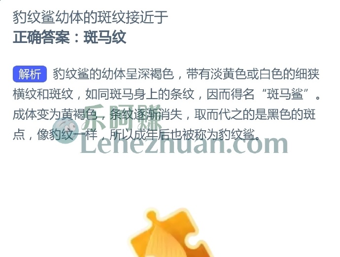 豹纹鲨幼体的斑纹接近于?