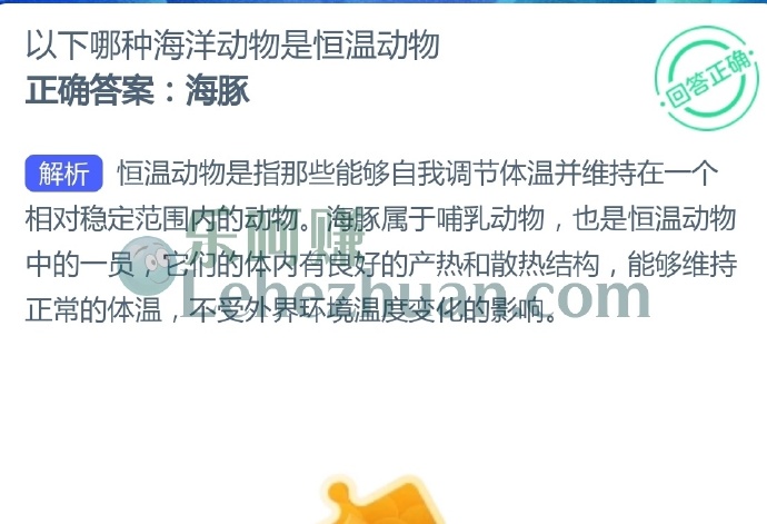 以下哪种海洋动物是恒温动物?