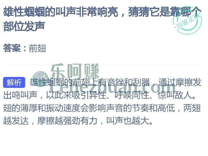雄性蝈蝈的叫声非常响亮,猜猜它是靠哪个部位发声?
