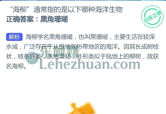 “海柳”通常指的是以下哪种海洋生物?