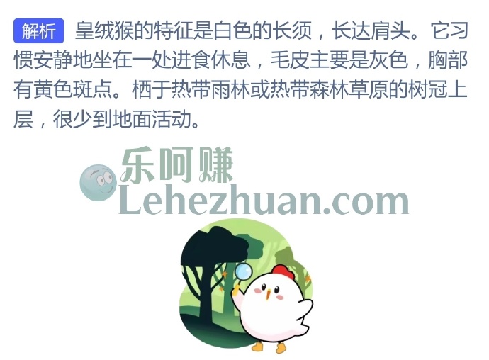 以下符合皇绒猴特征的是?