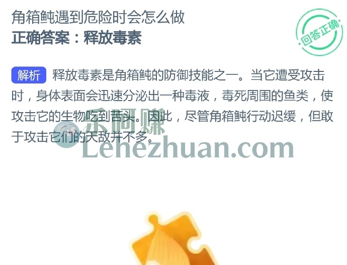 角箱鲀遇到危险时会怎么做?