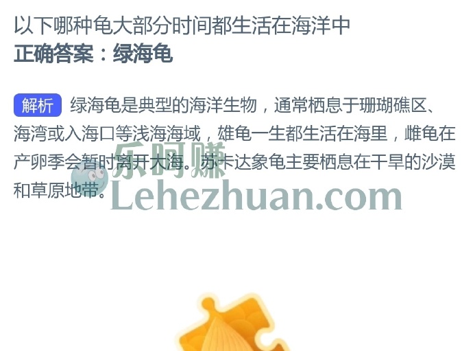 以下哪种龟大部分时间都生活在海洋中?