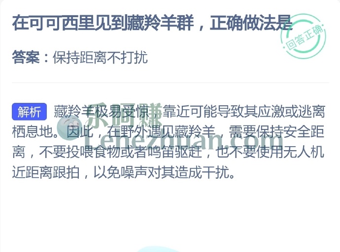 在可可西里见到藏羚羊群,正确做法是?