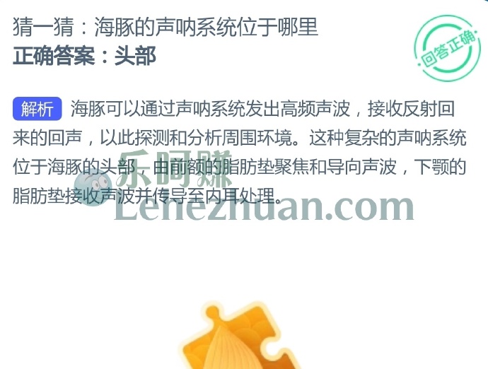 海豚的声呐系统位于哪里?