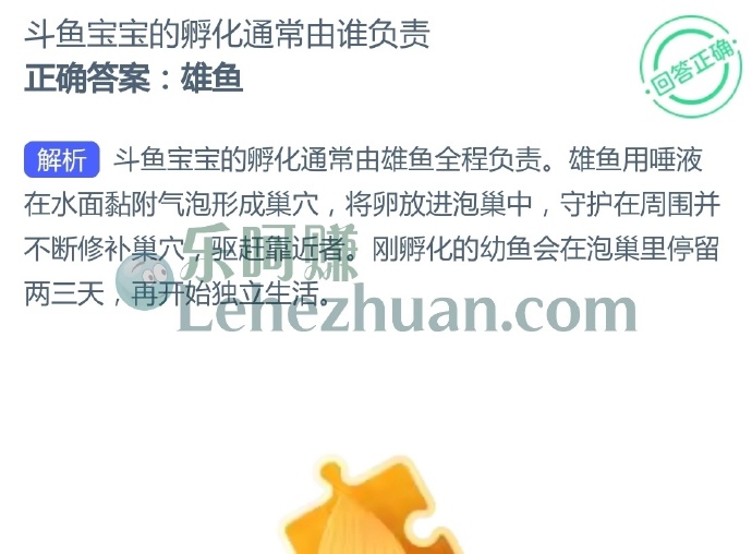 斗鱼宝宝的孵化通常由谁负责?