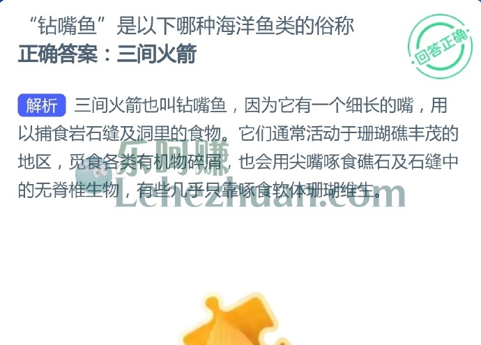钻嘴鱼是以下哪种海洋鱼类的俗称?