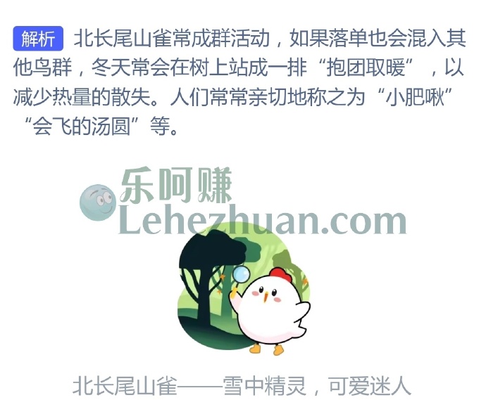 小肥啾北长尾山雀会用以下哪种方式取暖?