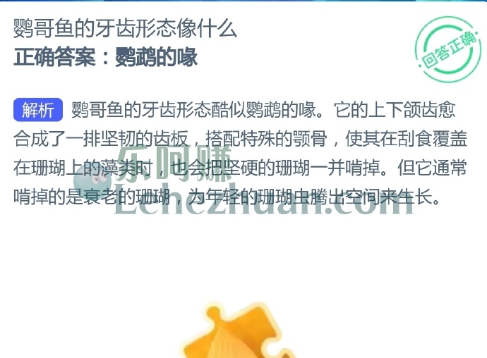 鹦哥鱼的牙齿形态像什么?