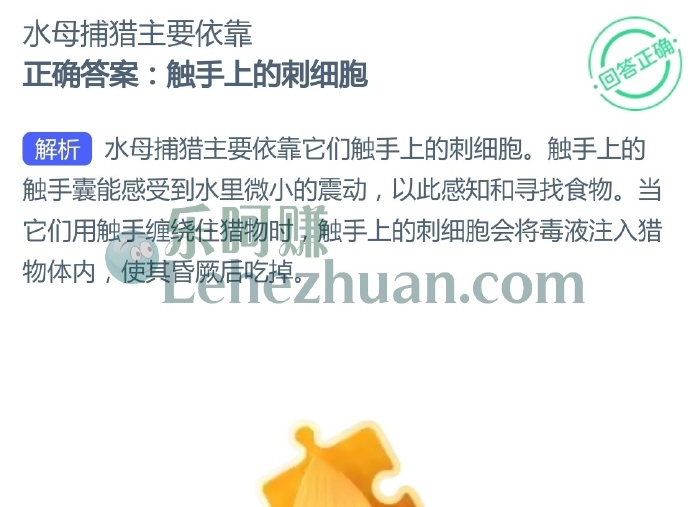 水母捕猎主要依靠?