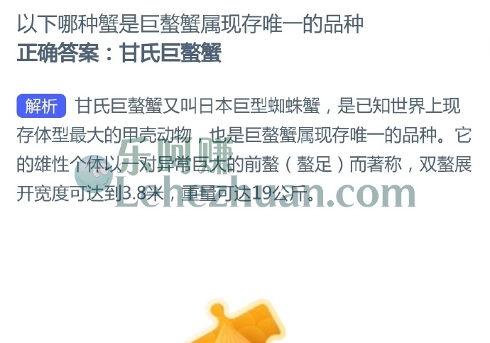 以下哪种蟹是巨螯蟹属现存唯一的品种?