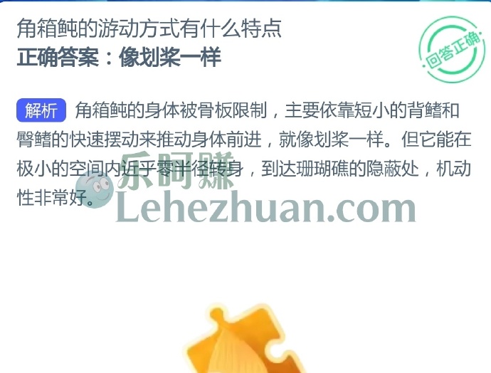 角箱鲀的游动方式有什么特点?