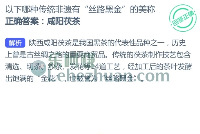 以下哪种传统非遗有丝路黑金的美称?