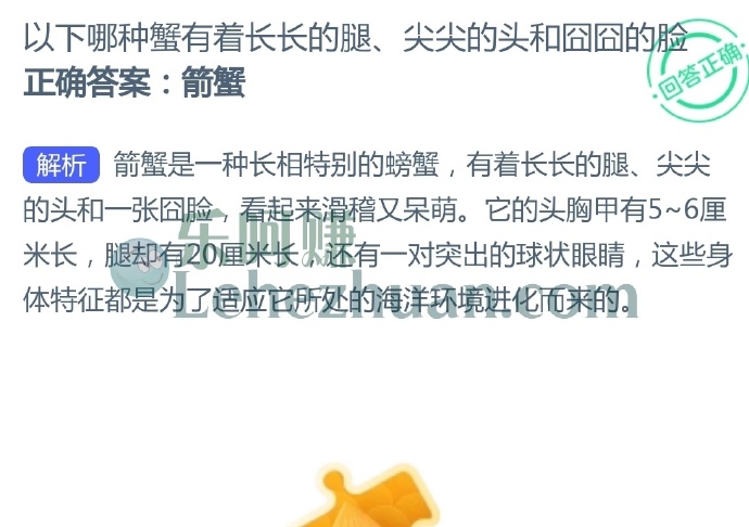 以下哪种蟹有着长长的腿、尖尖的头和囧囧的脸?