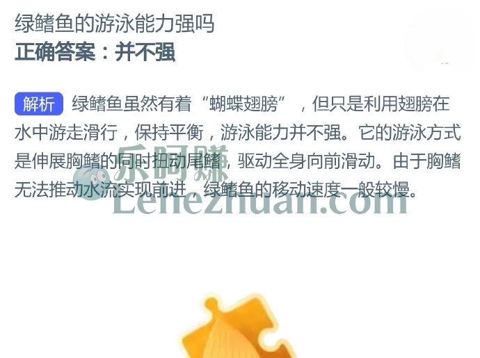 绿鳍鱼的游泳能力强吗?