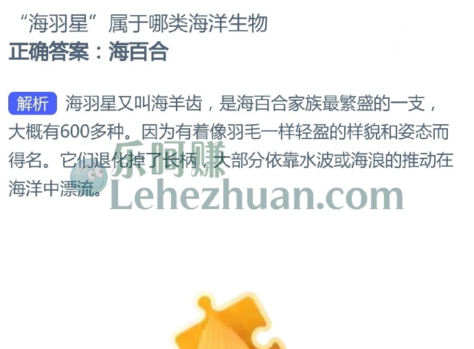 海羽星属于哪类海洋生物?