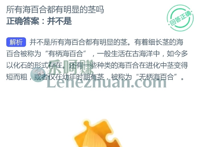 所有海百合都有明显的茎吗?