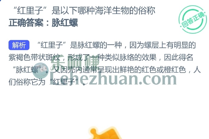 红里子是以下哪种海洋生物的俗称?