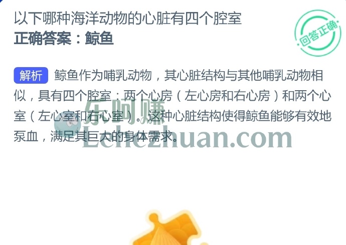 以下哪种海洋动物的心脏有四个腔室?