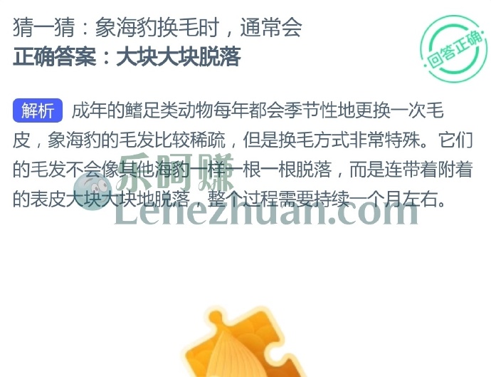 象海豹换毛时通常会?