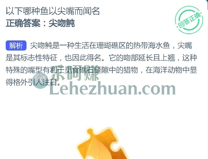 以下哪种鱼以尖嘴而闻名?
