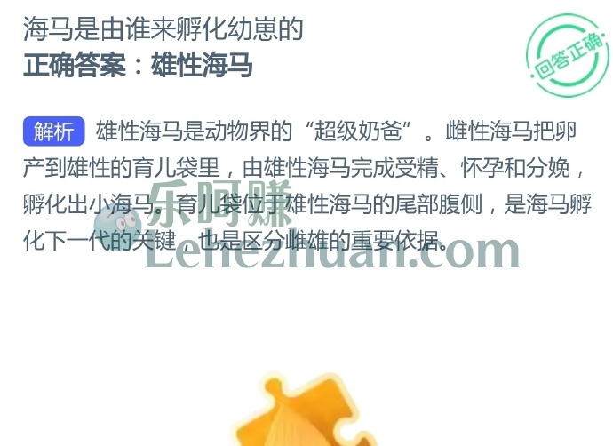 海马是由谁来孵化幼崽的?