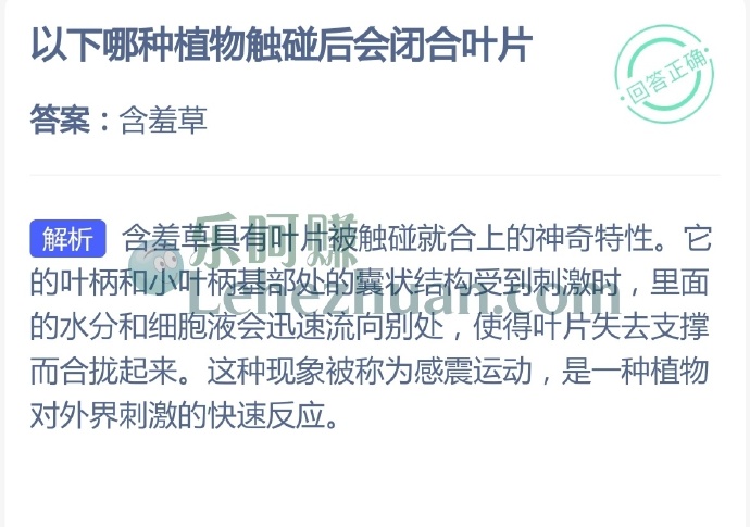 以下哪种植物触碰后会闭合叶片?