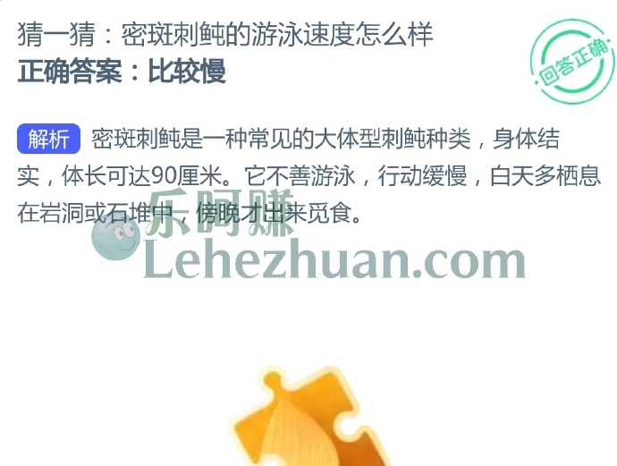 密斑刺鲀的游泳速度怎么样?