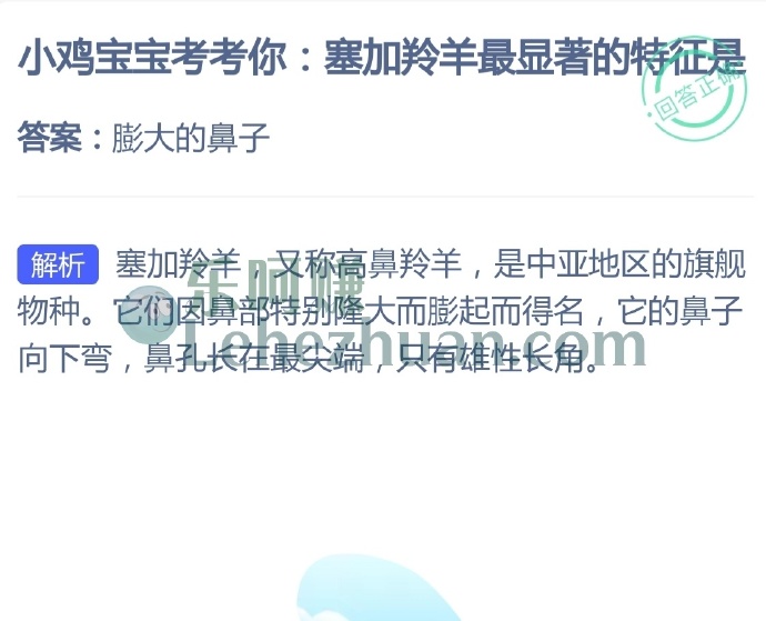 塞加羚羊最显著的特征是?