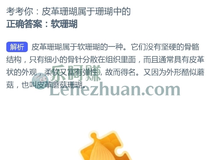 皮革珊瑚属于珊瑚中的?